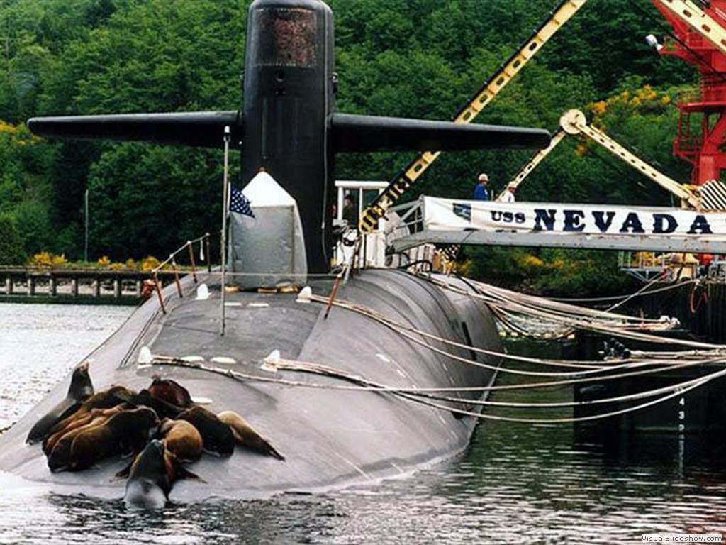 USS Nevada (SSBN-733)-4